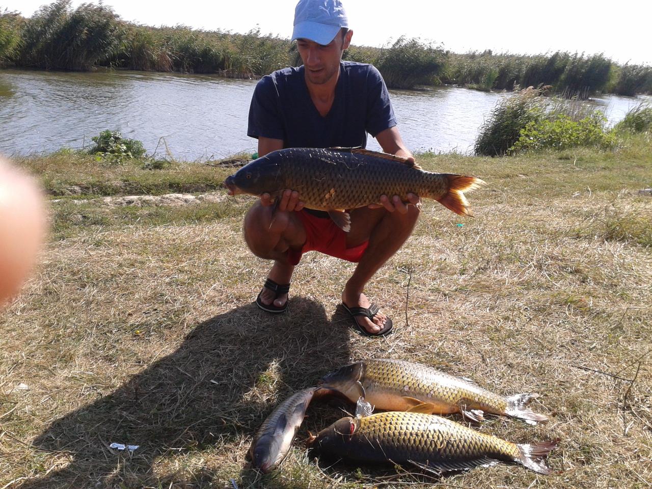 o mica parte din pesti de anul trecut - 2013-09-08-111905.jpg